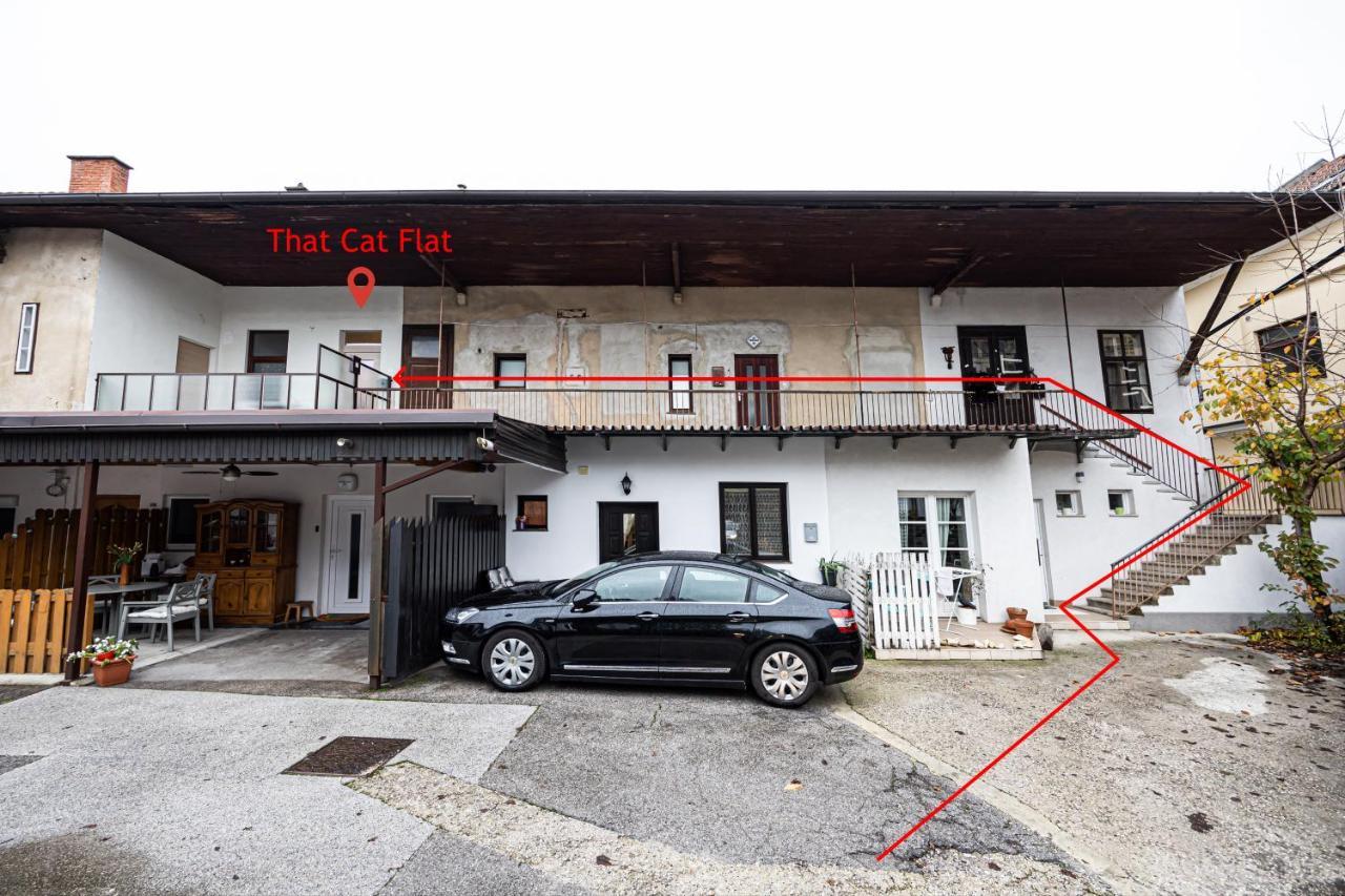 Appartamento That Cat Flat - Free Parking, Near Center, Cats! Lubiana