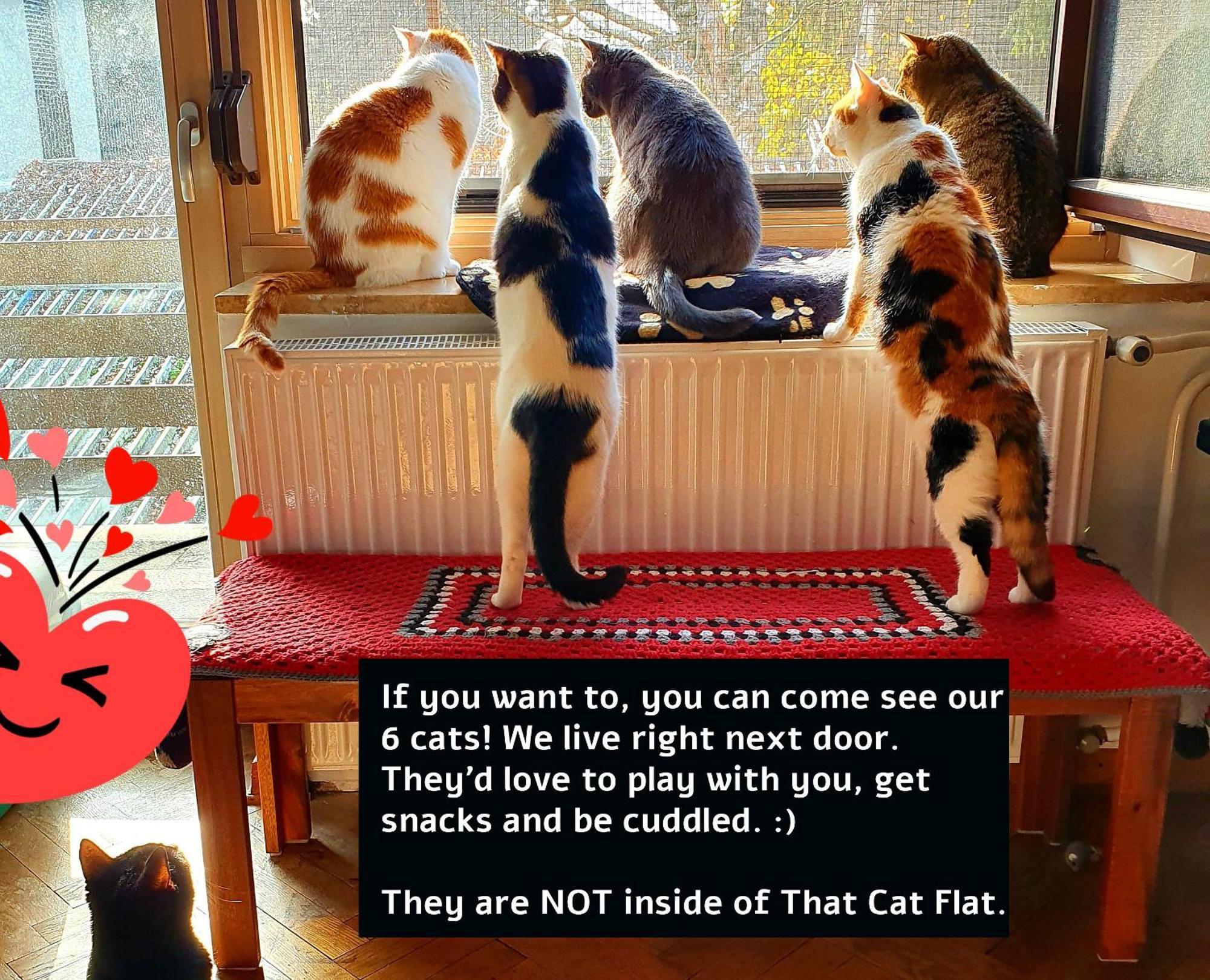 That Cat Flat - Free Parking, Near Center, Cats! Appartamento